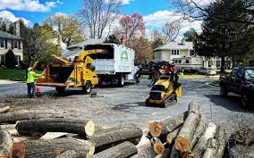 How Our Tree Care Process Works  in  Wellsville, KS