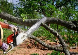 Best Leaf Removal  in Wellsville, KS